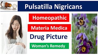 Pulsatilla Nigricans Drug Picture  Materia Medica bhms materiamedica homeopathy pulsatilla [upl. by Minne576]