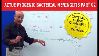 Acute Pyogenic Bacterial Meningitis Part 2 🩺 [upl. by Llehsam]