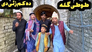 Tuti Gulla Da Kam Za De New Funny Video 2024 by Tuti Gull Official [upl. by Kaitlyn]