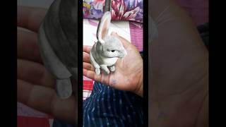 kaisa laga mera rabbit 🐇🐇shorts shortvideo youtube [upl. by Ynot]