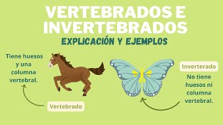 LOS ANIMALES VERTEBRADOS E INVERTEBRADOS [upl. by Anes768]