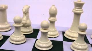 Premier Tournament Chess Set Combo from Wholesale Chess [upl. by Ansley]