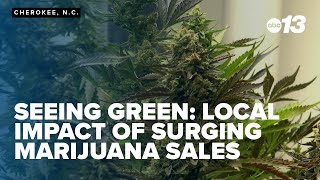 Seeing Green Impact felt as local pot sales surge [upl. by Essilrahc850]