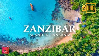 Travel Zanzibar  ISLAND IN TANZANIA 🇹🇿  12k Ultra HD  Virtual Travel [upl. by Noislla563]