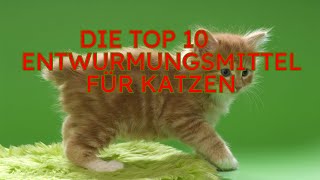 Die Top 10 Entwurmungsmittel für Katzen 2024 [upl. by Marquardt]