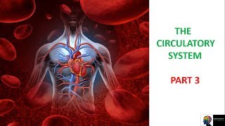 Circulatory System  ICSE Class 10th BiologyPart 4 [upl. by Eugenie]