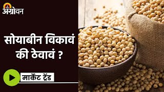 Soybean Market  देशातील बाजारात सोयाबीनचे दर टिकून  Agrowon  ॲग्रोवन [upl. by Eidnil679]