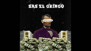 Sas El Gringo  Womanizer  YoHo Riddim  Official Audio [upl. by Noivert]