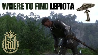 How to find Lepiota  Chubaikas mushrooms under 30 seconds  Kingdome Come Deliverance [upl. by Aihsemek]