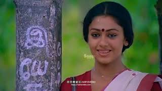 Vaishaka Sandhye Song Status💞  Yesudas  Mohanlal  Shobana 💞 Nadodikattu [upl. by Hayifas65]