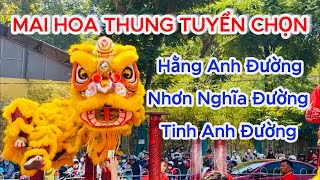 TUYỂN TẬP MAI HOA THUNG Hằng Anh Đường Nhơn Nghĩa Đường Tinh Anh Đường Best Acrobatic Lion Dance [upl. by Wisnicki]