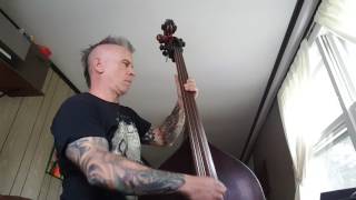 SublimeBadfish upright bass cover [upl. by Elaina877]