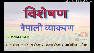 व्याकरण विशेषण Nepali Byakaran Bisesan Nepali Grammar Adjective [upl. by Naejeillib97]