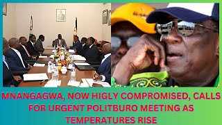 MNANGAGWA NOW HIGLY COMPROMISED CALLS FOR URGENT POLITBURO MEETING AS TEMPERATURES RISE [upl. by Dnomyar]