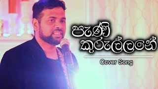 Pani Kurullane  පැණි කුරුල්ලනේ  Cover Song [upl. by Assenej]