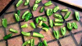 Dehydrating Peppers [upl. by Ibson]