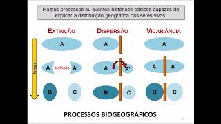 Aula 112 Módulo 2  Conceitos Básicos [upl. by Penni]