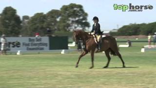 Barastoc Horse of the Year 2013  Horse of the Year [upl. by Ayila817]