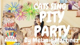 Cats Sing Pity Party by Melanie Martinez  Cats Singing Song [upl. by Arihsa]