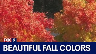 Brilliant fall colors in Minnesota [upl. by Demona]