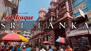 Colombo City Tour [upl. by Nnire]