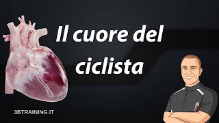 Cosa devi sapere sul tuo cuore [upl. by Sardella]