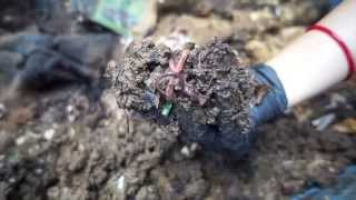 The Benefits of Vermicomposting [upl. by Marcin592]