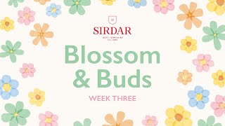 Sirdar Blossom amp Buds Crochet Along Week 3  Rows Of Tulips [upl. by Annoyik]