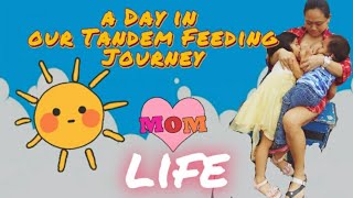 A day in Our Tandem Feeding Journey [upl. by Schoof]