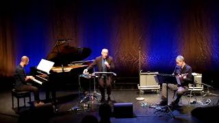 Theo Bleckmann Trio quotTeardropquot [upl. by Kiraa]