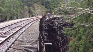 Oregon Coast Range Hikes Wolf Creek Bridge Salmonberry River [upl. by Imotas845]