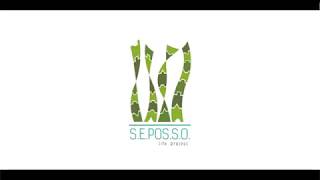 Impatti su Posidonia  spot LIFE SEPOSSO [upl. by Yremogtnom]