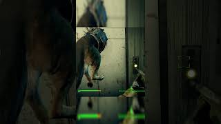 Fallout 4  Dogmeat Glitch [upl. by Nyar]