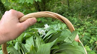 Lacto Fermented Wild Garlic Stems [upl. by Bryan]