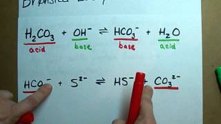 Identify Conjugate Acid Base Pairs Bronsted Lowry [upl. by Esenahs601]