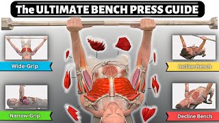 BEFORE YOU BENCH PRESS Understand the Anatomy Behind it Incline Decline Close Grip Wide Form [upl. by Eitsirhc]