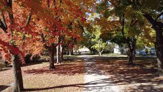 Autumn on West 2nd Street [upl. by Lehcor]