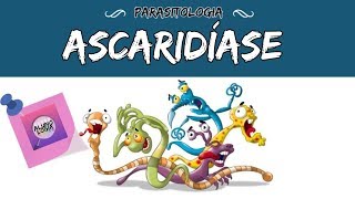 ASCARIDÍASE  PARASITOLOGIA 6 [upl. by Akin]