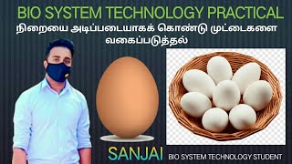 bst biosystem technology practical♦ BST நிறையை அடிப்படையாகக் கொண்டு முட்டைகளை வகைப்படுத்தல் [upl. by Assenyl]