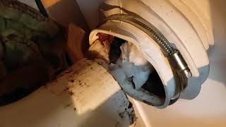 How to unblock a toilet macerator saniflo that wont flush Grundfos Sololift2 [upl. by Akinoj991]