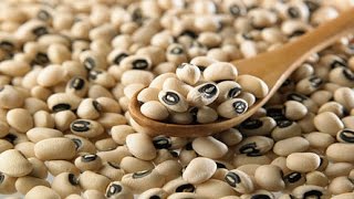 Black Eyed Pea Nutritional ValueHealth Benefits Of Black Eye Beans 2017 [upl. by Dias]