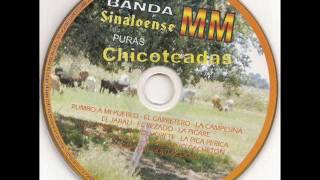 banda mmla campesina [upl. by Pathe]