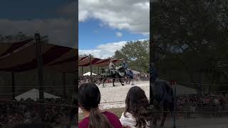 Jousting At The Sarasota Medieval Fair jousting medieval america fun florida fair horse [upl. by Pass]