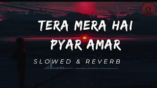 Tera Mera Hai Pyar Amar  Ishq Murshid OST  Slowed amp Reverb  Best Music  Z Music [upl. by Laitselec]