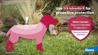 K9 Advantix® II Vetquality Protection without the Prescription [upl. by Karie496]