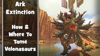 Ark  Extinction  How and Where to Tame Velonasaurs [upl. by Eward]