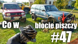 Co w błocie piszczy 47 Terenwizja [upl. by Prue277]