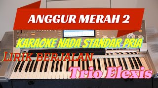 karaoke anggur merah 2  nada standart pria  lirik berjalan  trio elexis [upl. by Ultun294]