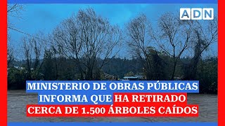 Ministerio de Obras Públicas informa que ha retirado cerca de 1500 árboles caídos [upl. by Maleen]