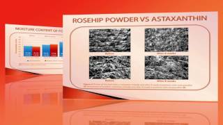 Effects of rose hip on cell longevity skin wrinkles and elasticity  Video abstract 90092 [upl. by Innej465]